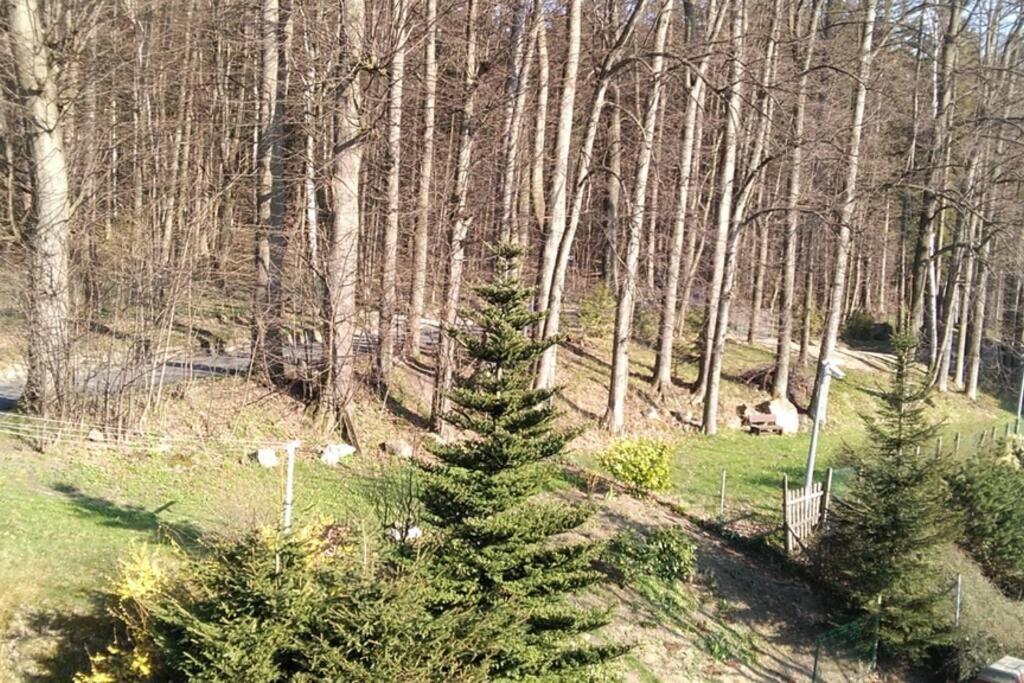 Nowoczesne Mieszkanie Blisko Natury I Sklepu Biedronka Apartamento *
