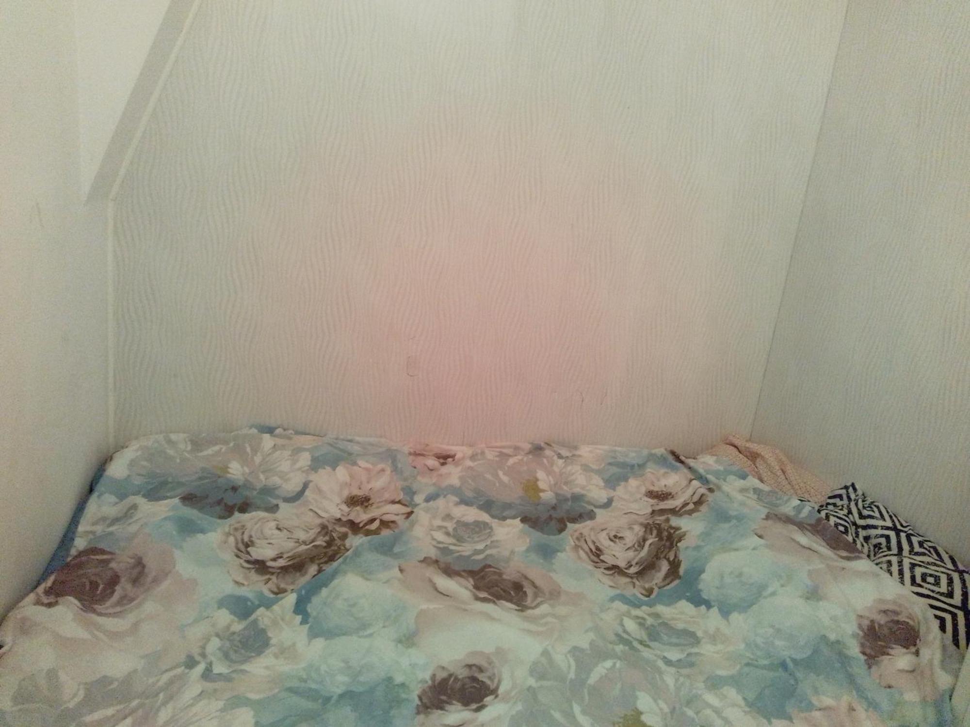 Apartamento Nowoczesne Mieszkanie Blisko Natury I Sklepu Biedronka