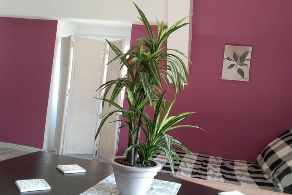 Nowoczesne Mieszkanie Blisko Natury I Sklepu Biedronka Apartment *