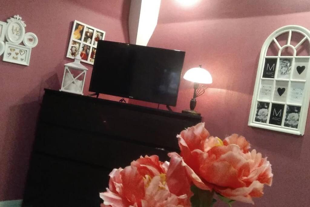 Apartment Nowoczesne Mieszkanie Blisko Natury I Sklepu Biedronka *